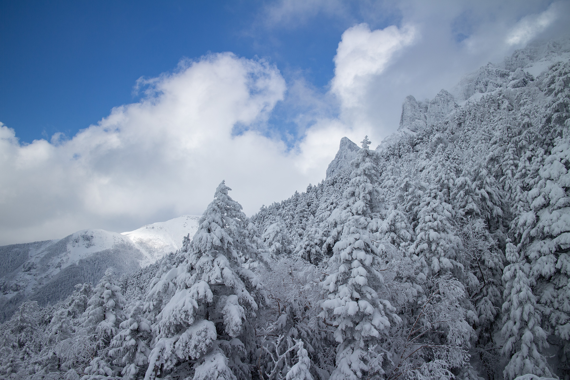 雪に覆われた大同心稜線
