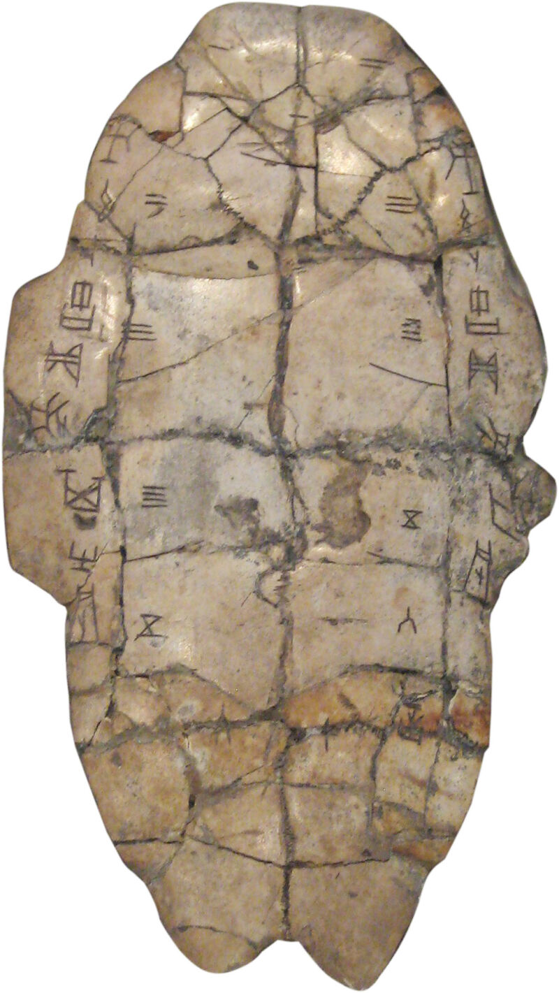 shang dynasty inscribed tortoise plastron