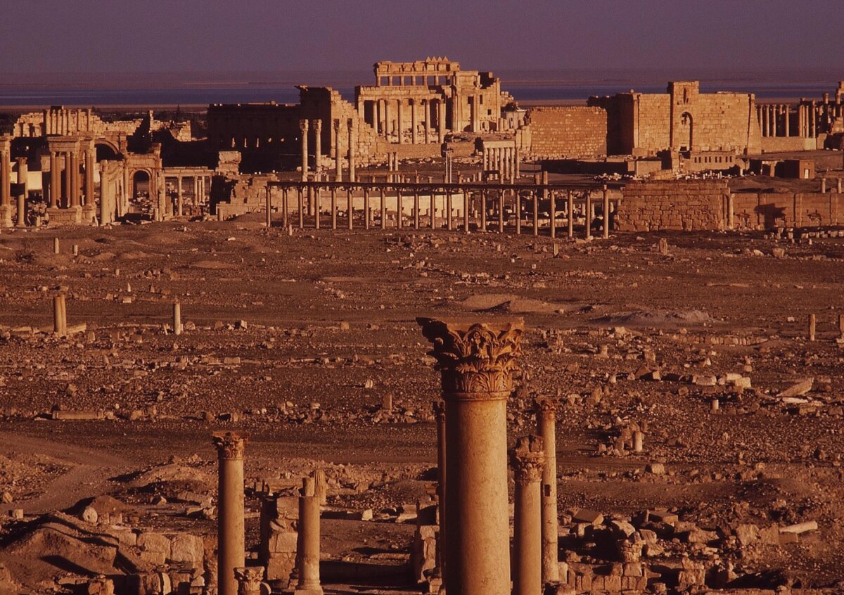 twilight palmyra