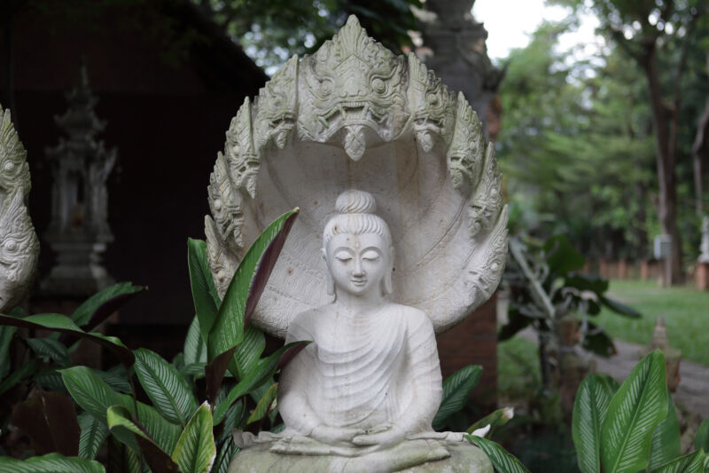 meditating buddha protected by mucalinda