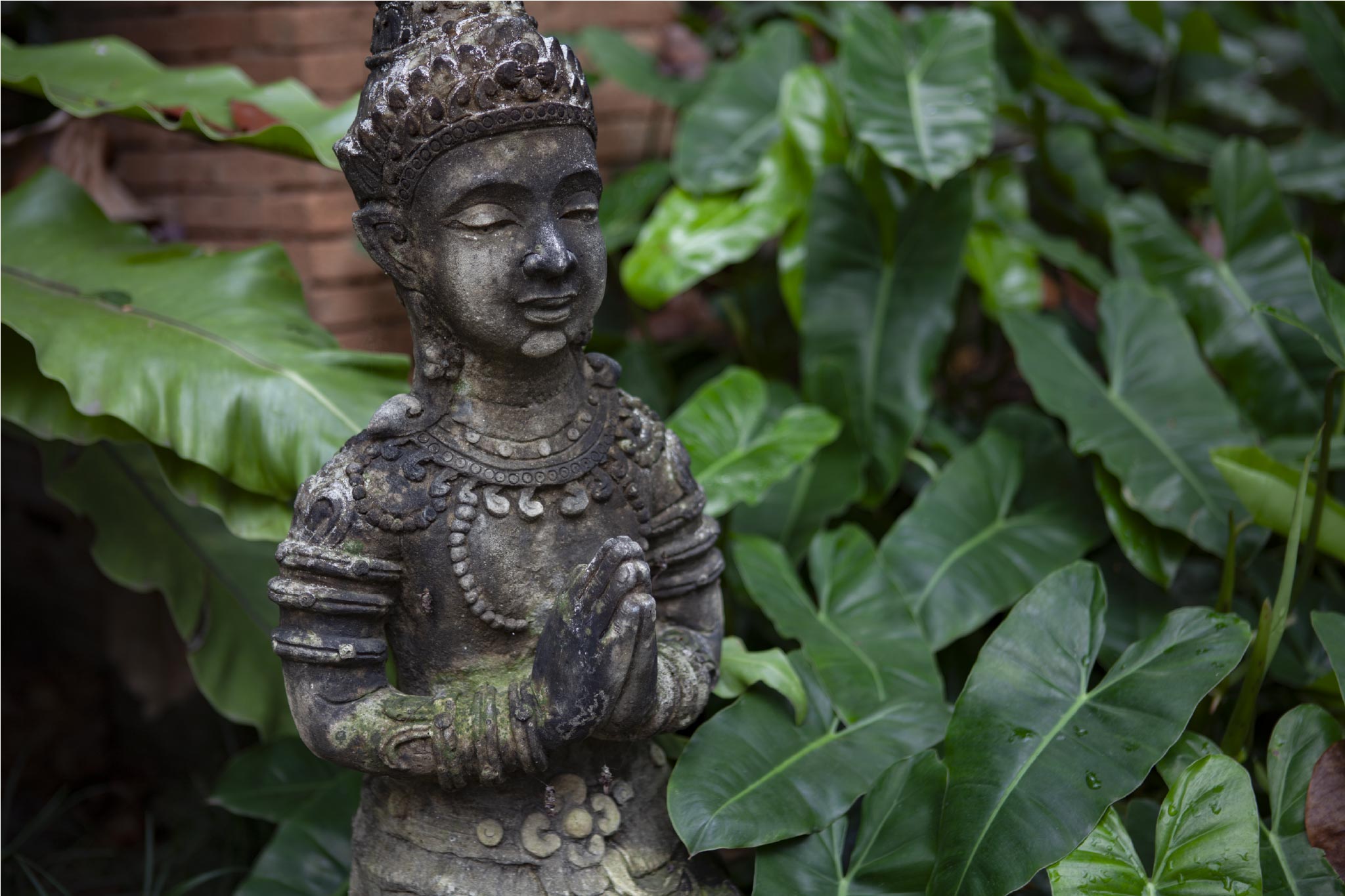 ワイをするアプサラ