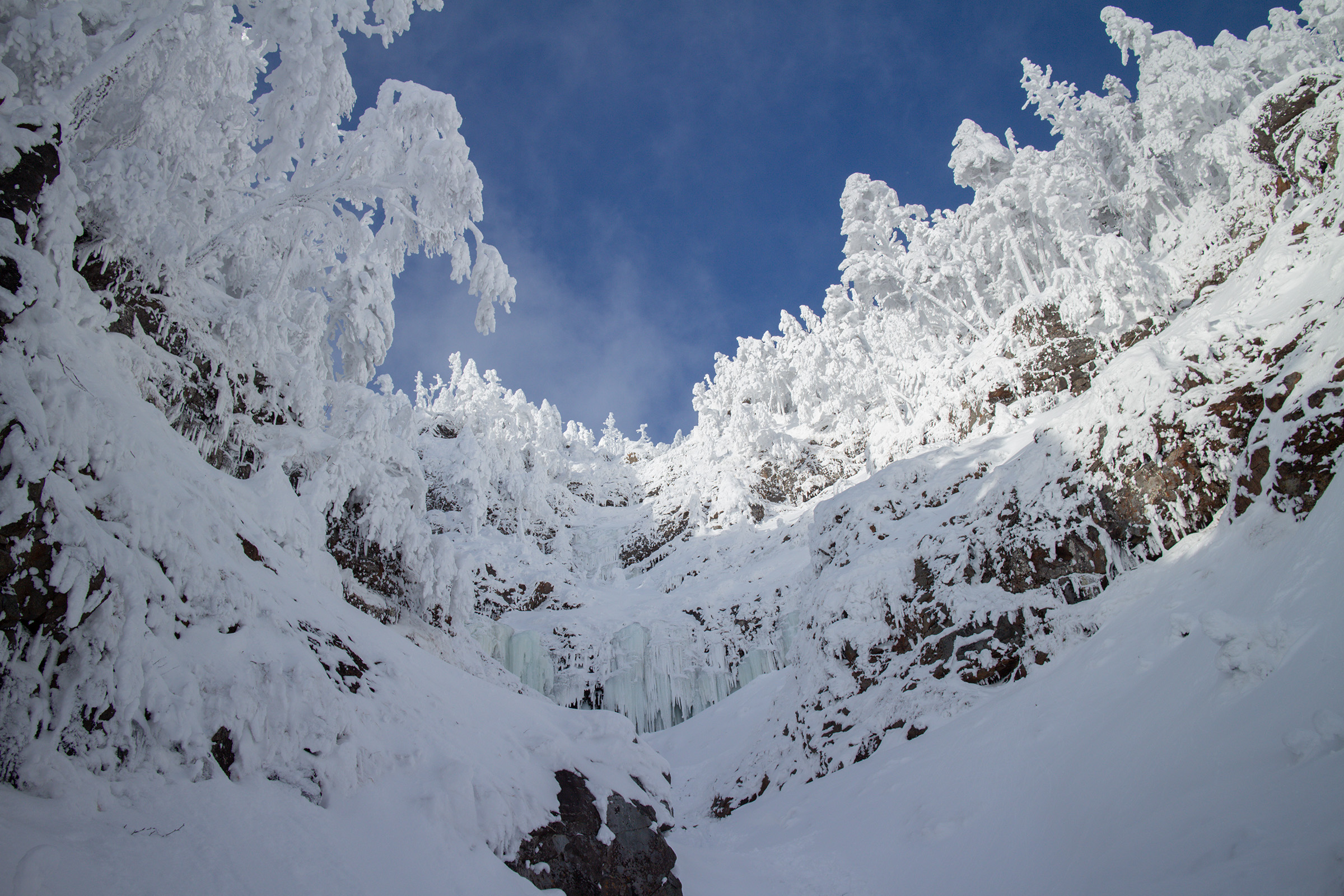 雪に覆われた裏同心ルンぜ（八ヶ岳）