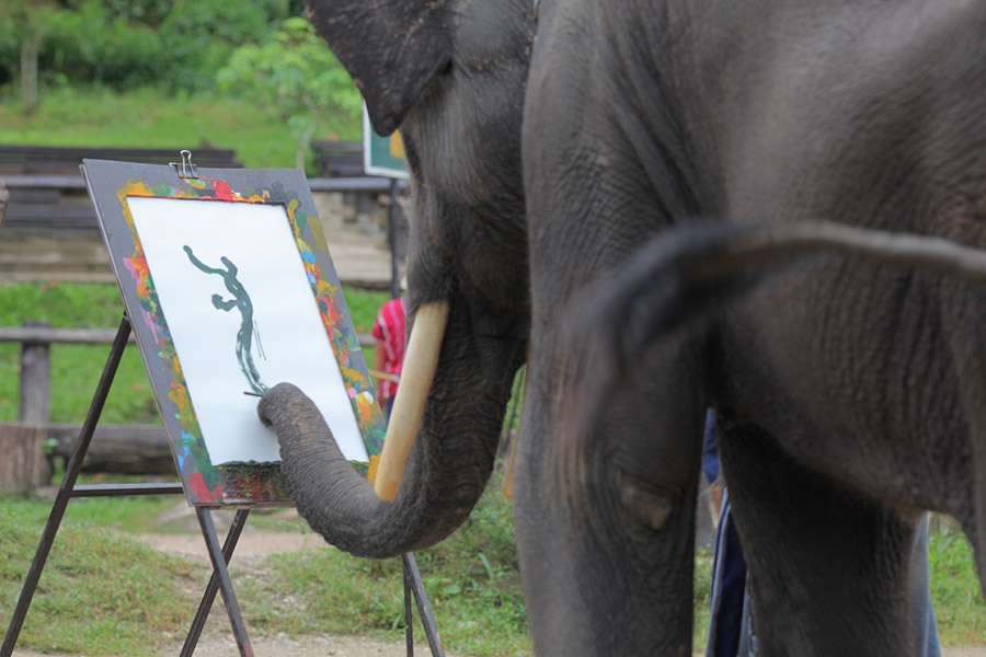 絵を描く象